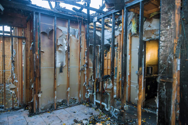 Professional Fire Damage Removal technician working in Forest Heights, MD